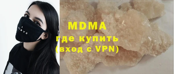 индика Алексин