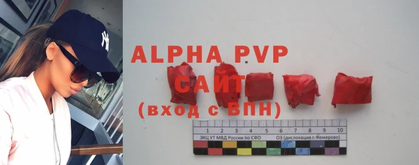 индика Алексин