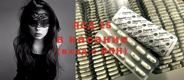 индика Алексин