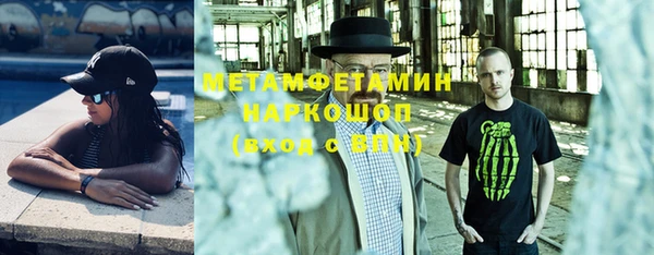 индика Алексин